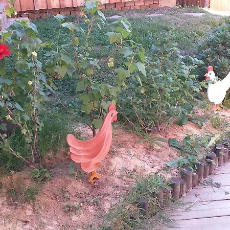 Appartement Cocon De St Pierre