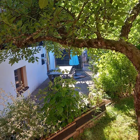 Apartment Cocon De St Pierre Sainte-Marie-aux-Mines